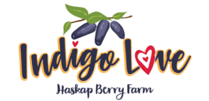 Indigo Love Haskap Berry Farm