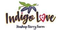 Indigo Love Haskap Berry Farm Logo